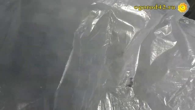 Дневник огородника. 2 апреля посев моркови и посадка шалота в открытый грунт смотреть онлайн