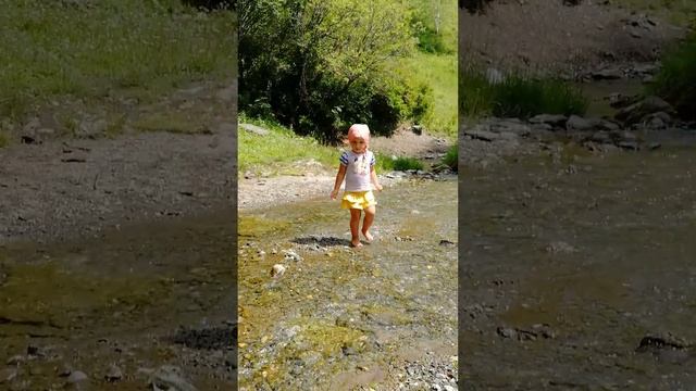 По дороге на Башталинское плато встретили маленькую горную козу))) смотреть онлайн