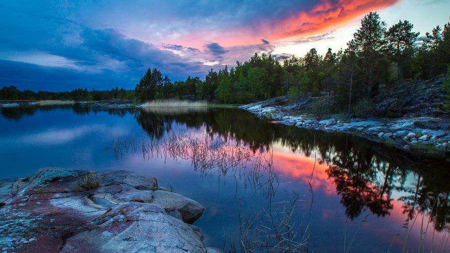 Потрясающая дикая природа (4K Ultra HD) -Спокойный пейзажный фильм с захватывающим саундтреком смотреть онлайн