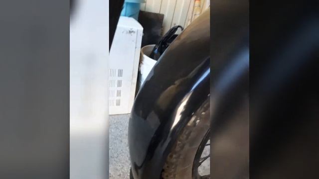 Продается Иж 49 смотреть онлайн