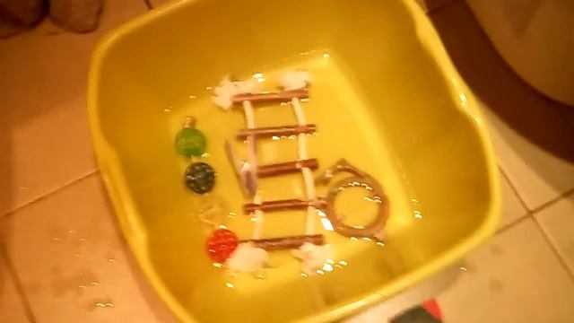 ГЕНЕРАЛЬНАЯ УБОРКА у ВОЛНИСТОГО ПОПУГАЯ / Pets' Place смотреть онлайн