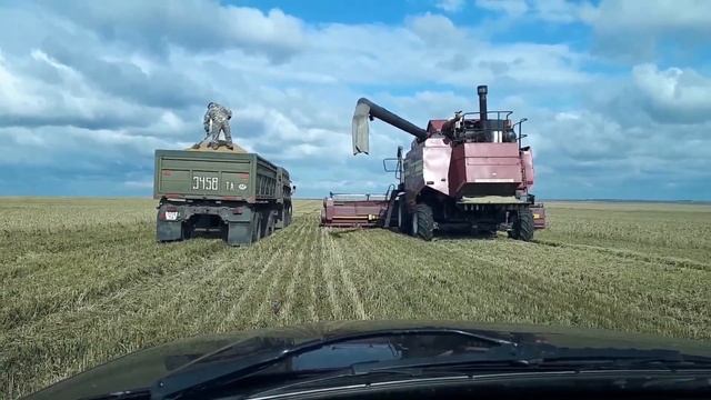 СКО. Тимирязево. смотреть онлайн