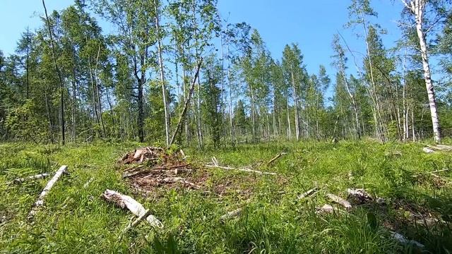 Приехал на другой сенокос, а там побывали варвары... смотреть онлайн
