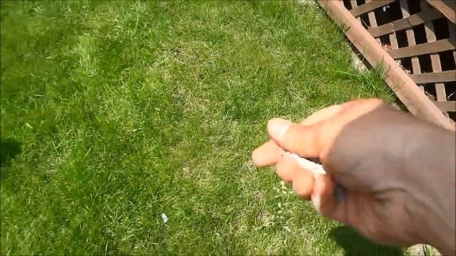 How To Spread Grass Seed With Your Hand (No Tools Needed) смотреть онлайн