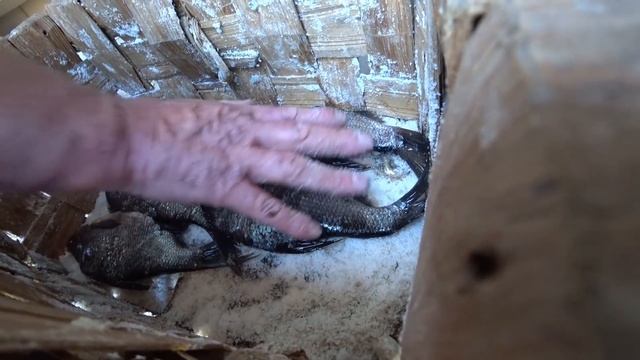 Сухой Посол Рыбы.Вкуснейшая Вяленая рыба? смотреть онлайн