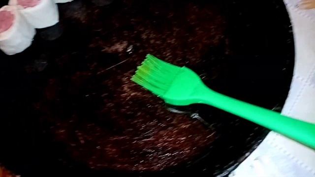 Домашние Животные и Их Уход