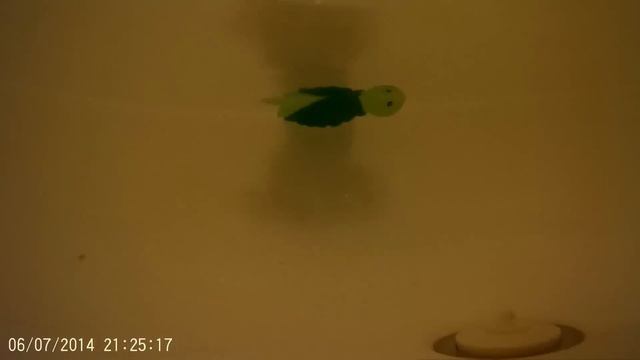 Action camera SJ1000 в ванной смотреть онлайн