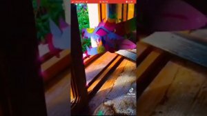 Драконы на руку из тик тока ( часть 2 ) ( прочит . описание , там сюрприз для тебя ❤️ )