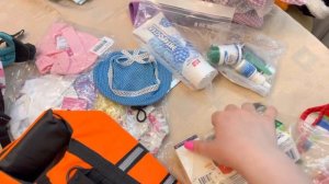 Что я беру для собаки на море // Собираем собаку в поездку