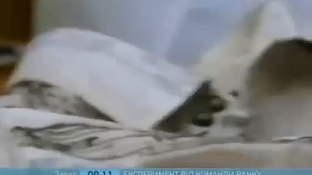 Чем вывести пятна от шариковой ручки смотреть онлайн