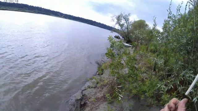 Рыбалка на реке Обь. Бешеный клев леща. Первый выезд смотреть онлайн