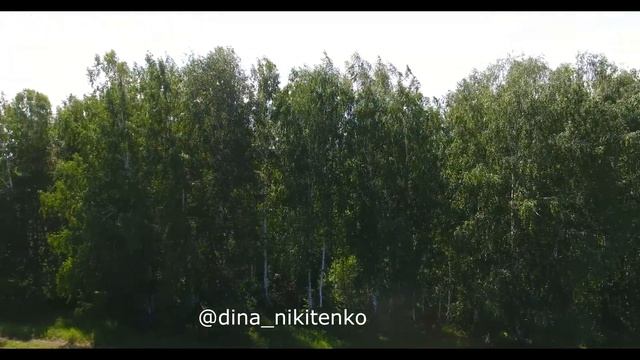 Волшебный Вкус