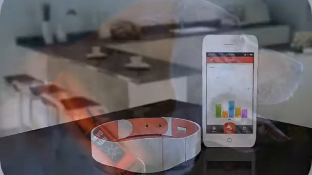 ошейник удавка для собак смотреть онлайн