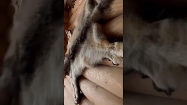 Усадьба "Адрия" смотреть онлайн