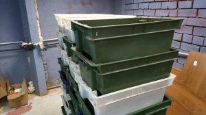 Самая высокая температура для разведения червей.