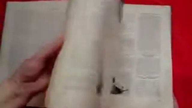 Презентация "Книги о вкусной и здоровой пище" смотреть онлайн