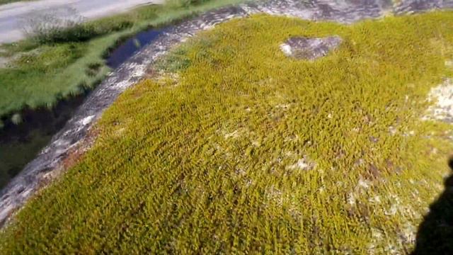 VLOG#5//Шашлыки//Угадайте кто приехал...//Что с Чакки ? смотреть онлайн