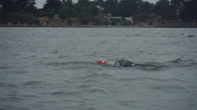 July 24 Sunday Berkeley Swim Video Highlights - Odyssey Open Water Swimming смотреть онлайн
