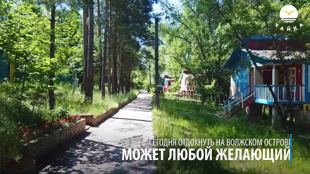 Чайка зоопарком смотреть онлайн
