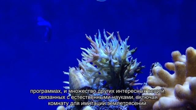 Достопримечательности Ираклиона (Крит): что посмотреть самостоятельно, экскурсии смотреть онлайн