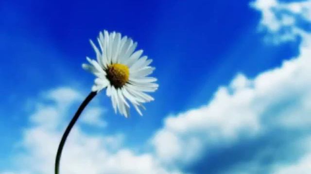 Love Movement Ulrich Schnauss Remix