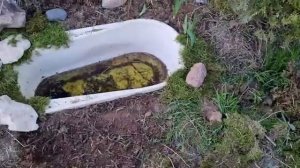 БЮДЖЕТНЫЙ ПРУД СВОИМИ РУКАМИ ИЗ СТАРОЙ ВАННЫ /ИДЕЯ ДЕКОРА ДЛЯ САДА