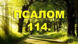 ✞Псалом 114✞Молитва благословения детей✞