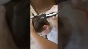 Подстрикса налысо.