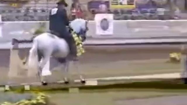 Gaits of the Paso Fino смотреть онлайн