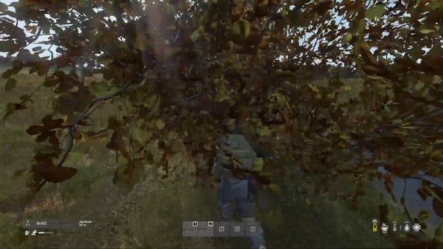 Ищем приключения - DayZ смотреть онлайн