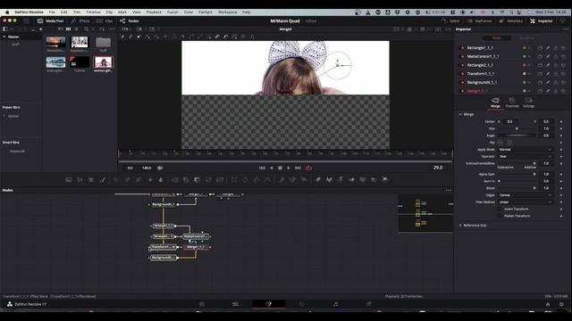 Quad Reveal Effect - Davinci Resolve 16/17 смотреть онлайн