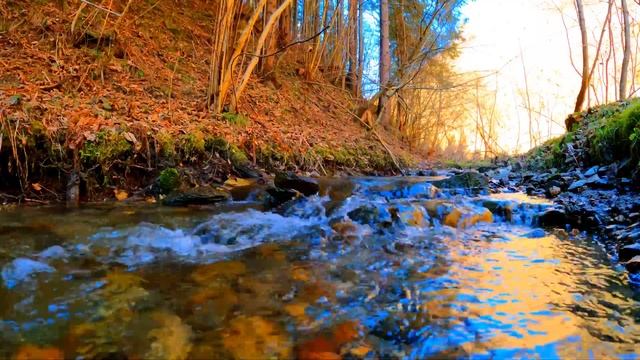 1 час расслабляющей музыки для снятия стресса смотреть онлайн