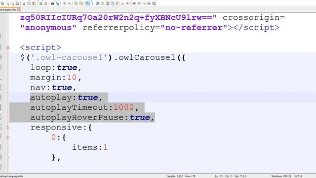 Owl Carousel AutoPlay | Owl Carousel AutoPlay Not Working Fixed | Owl Carousel Tutorial