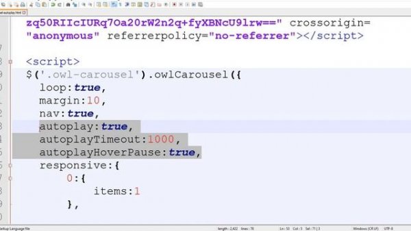 Owl Carousel AutoPlay | Owl Carousel AutoPlay not Working Fixed | Owl Carousel Tutorial