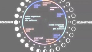 В какую фазу луны лучше всего идти на рыбалку и как это влияет на клёв?