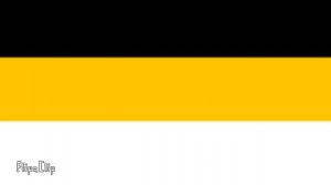 как менялся флаг Украины