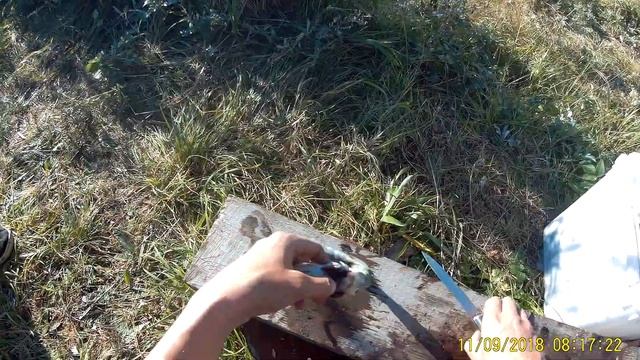 Отдых и рыбалка на море дикарями смотреть онлайн