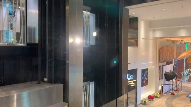 Royal Caribbean Odyssey of the Seas Glass Elevator Action смотреть онлайн