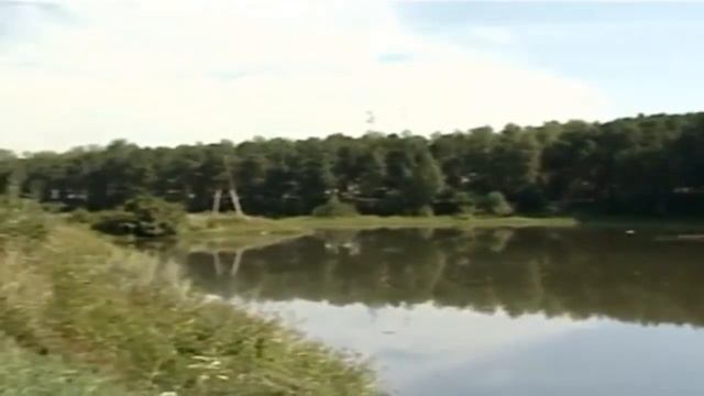 Долевая собственность. Плюсы и минусы смотреть онлайн