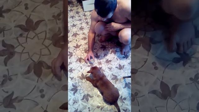 Похмелье смотреть онлайн