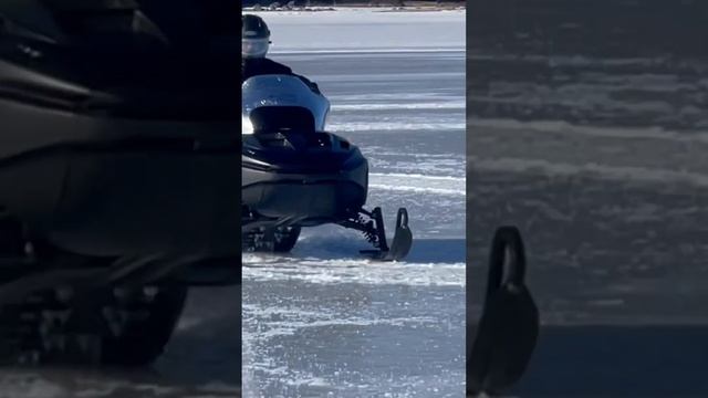 Haul In Ass Easter Sunday Callander Bay