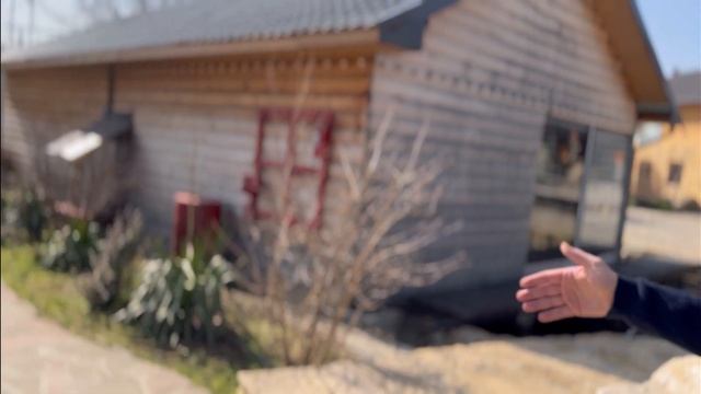 Осетр ?| животные ?| Парк ??| ресторан | домики | #янтарное #дагестан ❤️ смотреть онлайн