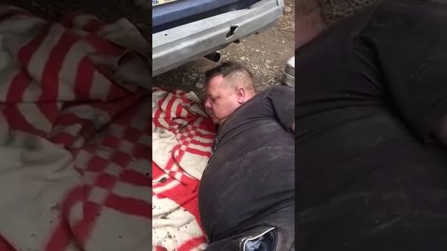 Видео,приколы,юмор,смех смотреть онлайн