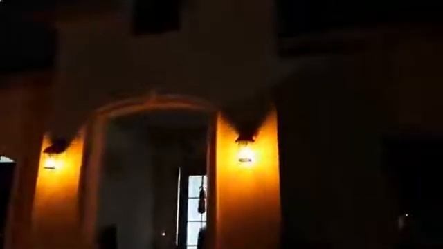 Светодиодная лампа с динамическим эффектом пламени CHIZAO смотреть онлайн