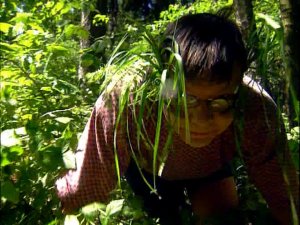 Летний призыв