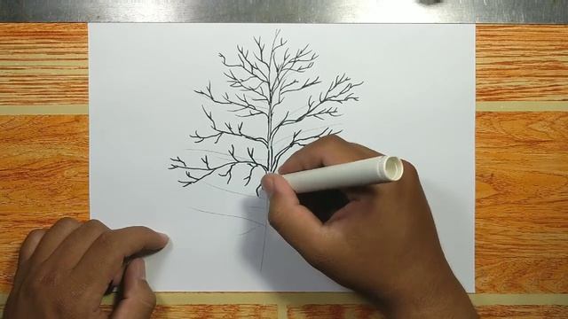 How To Draw MAPLE TREE WITHOUT LEAVES Step By Step