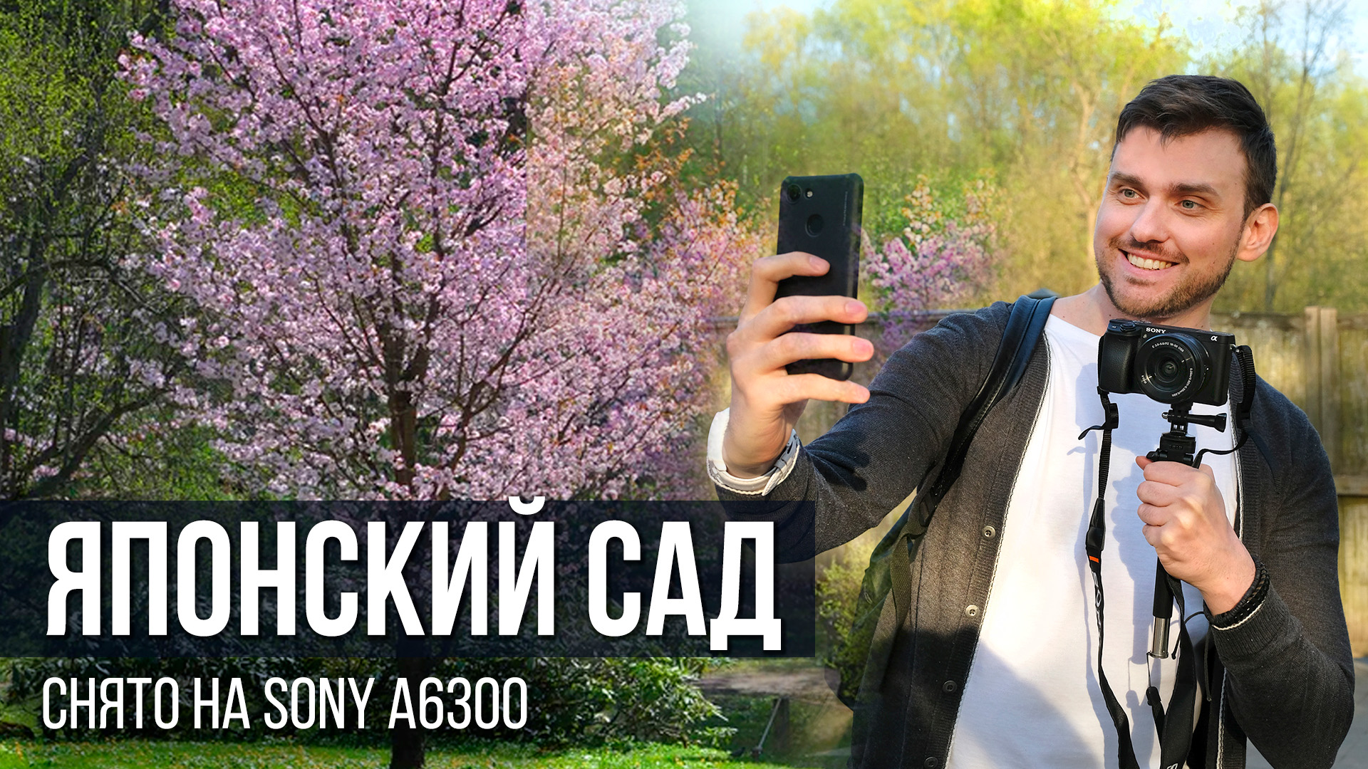 Японский сад