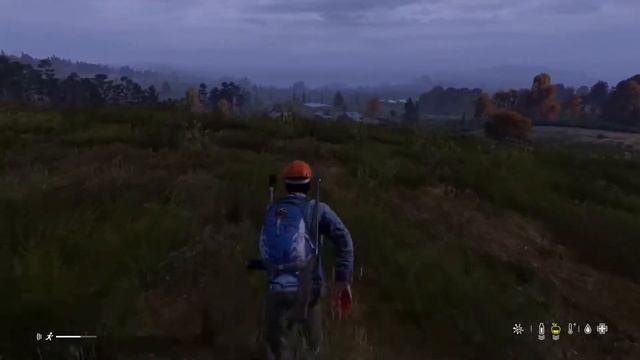 DayZ выживание (PS5,PS4,XBOX S/X,Switch)