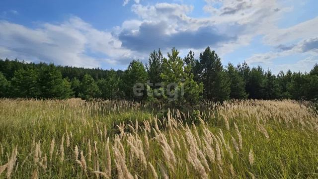 11414314 смотреть онлайн