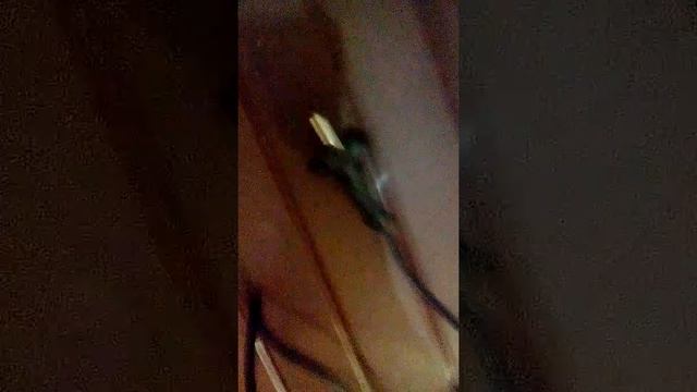 VIOG : МОЮ Нику / мою голову/ умываюсь/ смотреть онлайн